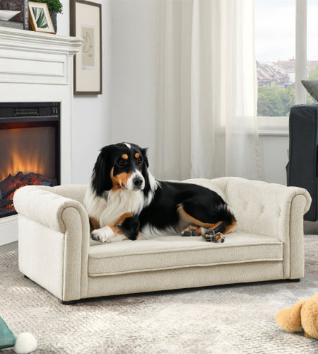 Elegant Rectangular Pet Bed for Medium and Large Dogs